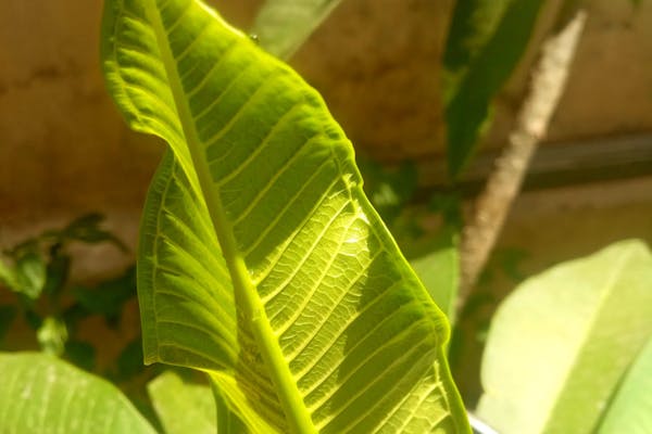 Vệ Sinh Công Nghiệp An Khang